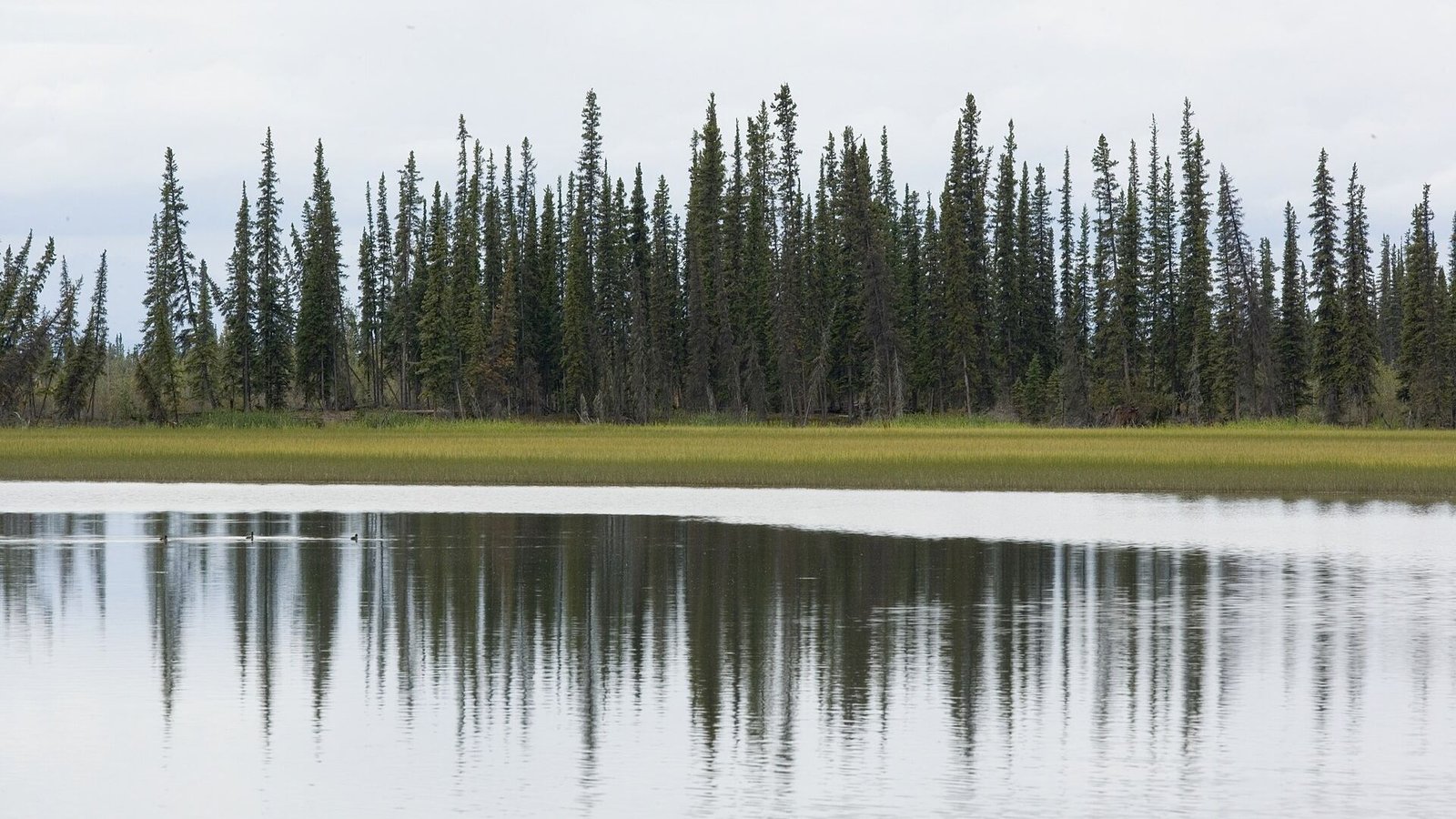Interior adds $2,053 and more flight hours to Tok air service's Tetlin refuge order