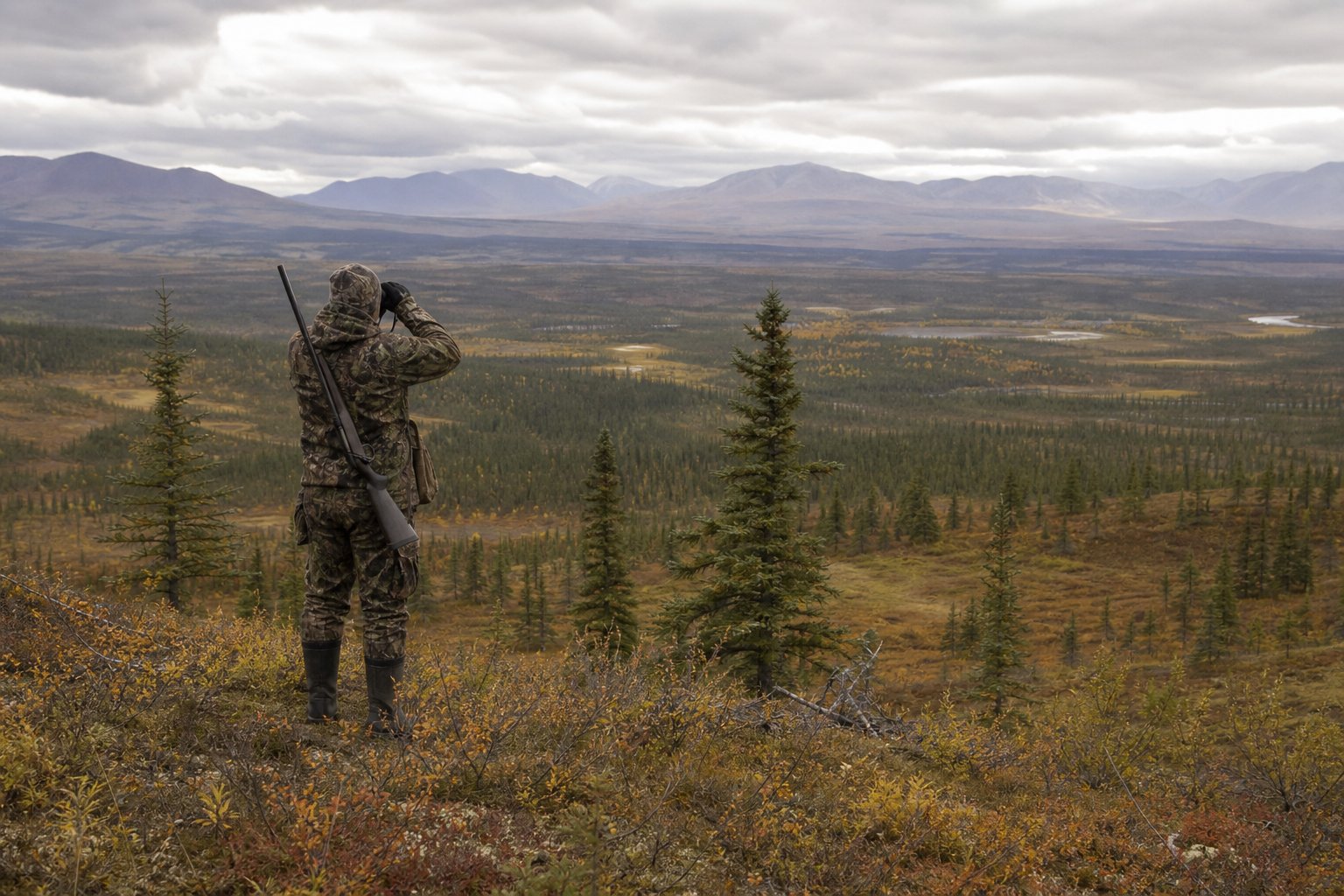 Federal board gives subsistence hunters 10 more days to hunt moose in the Tetlin refuge area