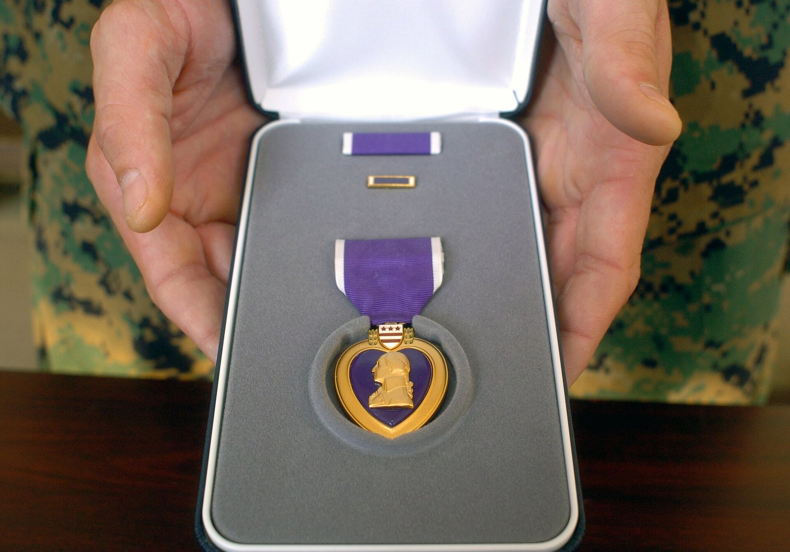 Anchorage Assembly set to honor veterans and Purple Heart recipients in November