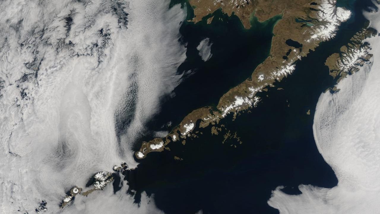 Scientists recommend a 2.5% lower 2027 catch ceiling for Bering Sea, Aleutian northern rockfish