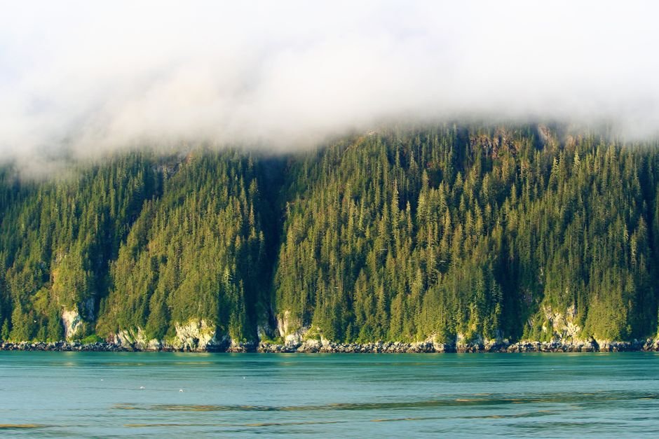Wind advisory covers Sitka, Prince of Wales and Annette Island until 10 am Sunday