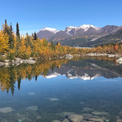 A serene landscape photo showcasing snow-capped mountains under a clear blue sky, reflected perfectly in a calm lake. The foreground features vibrant yellow and orange fall foliage along the lake's edge, with visible rocks beneath the clear water.