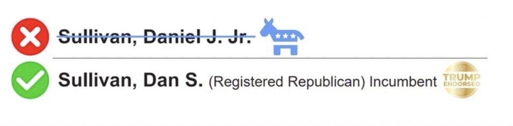 Political Ballot Comparison Graphic