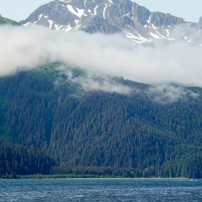 A scenic view of snow-capped mountains partially obscured by low-hanging clouds, towering above dense green forests that meet the deep blue waters of the Seward coastline. A small boat is visible in the distance on the water.