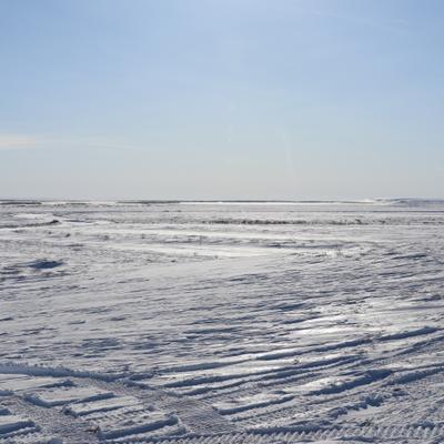 A vast, snow-covered landscape stretches under a clear blue sky, showing the frozen Colville River winding through the Arctic tundra. Tire tracks are visible in the foreground, leading towards the distant horizon.