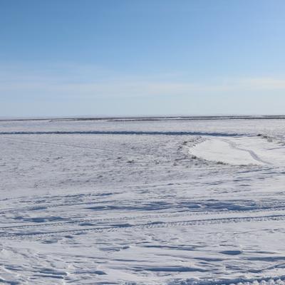 A vast, snow-covered landscape under a clear blue sky, showing the frozen expanse of the Colville River on Alaska's North Slope with faint tracks in the foreground.