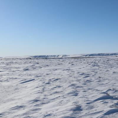 A wide shot of the snow-covered Colville River Bluffs under a clear blue sky. The foreground is a vast expanse of snow with subtle drifts and faint tracks, leading to the distant, snow-draped bluffs.