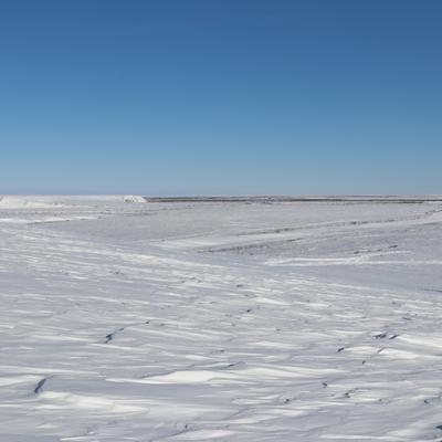 A wide shot of a snow-covered Arctic landscape under a clear blue sky, with the frozen Colville River visible as a dark line in the distant middle ground. The foreground features undulating snowdrifts, sculpted by wind.